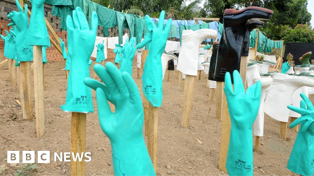 'Speed, money and compassion' – lessons from an Ebola survivor and other experts