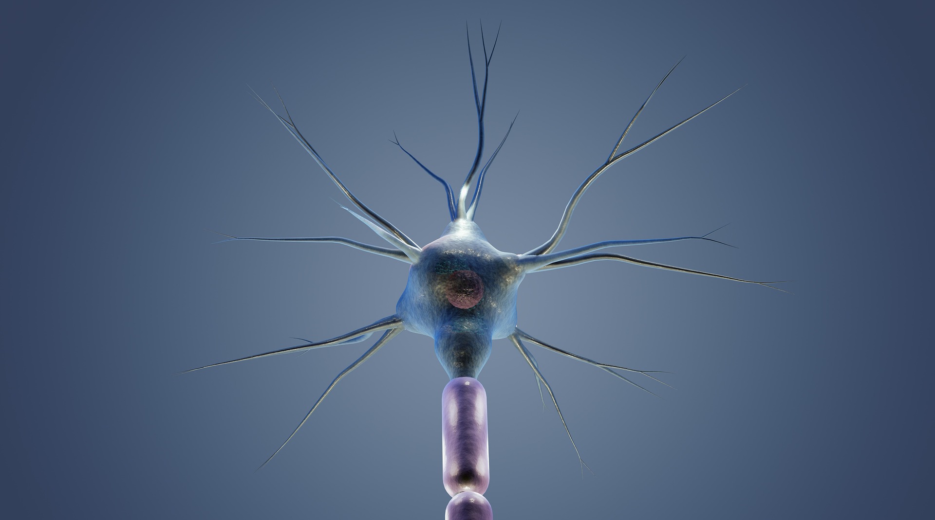 Novel Drugs Improve Nervous System in Multiple Sclerosis