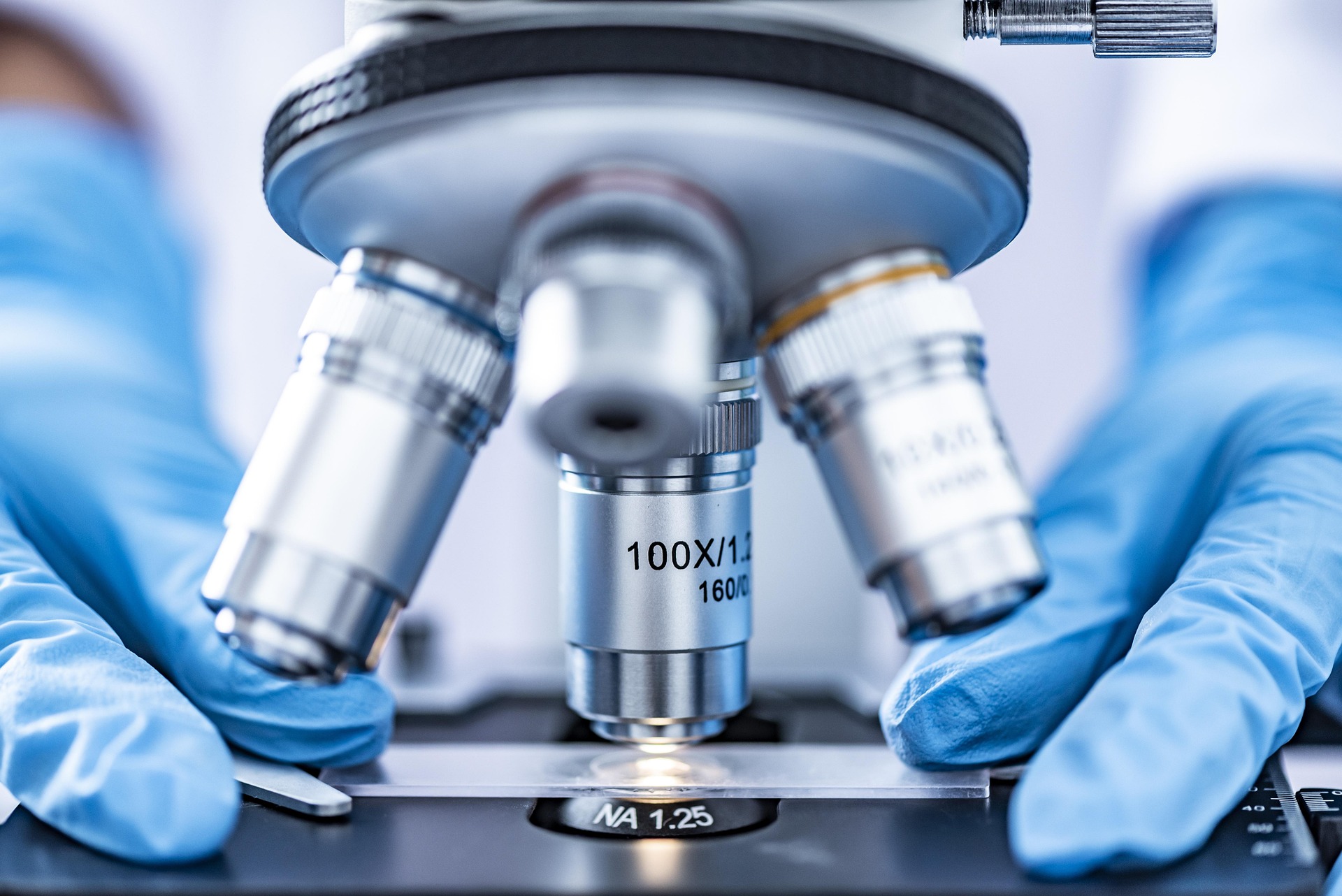 Newly Discovered Immune Function Fights Cancer