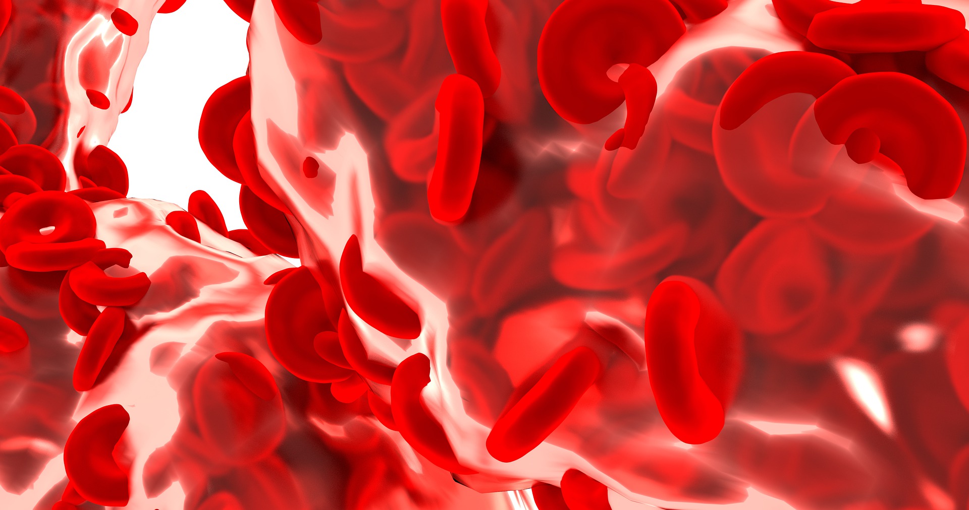 Genetic Mutations Allow Blood Stem Cells in Rare Disease to Evade Immunity