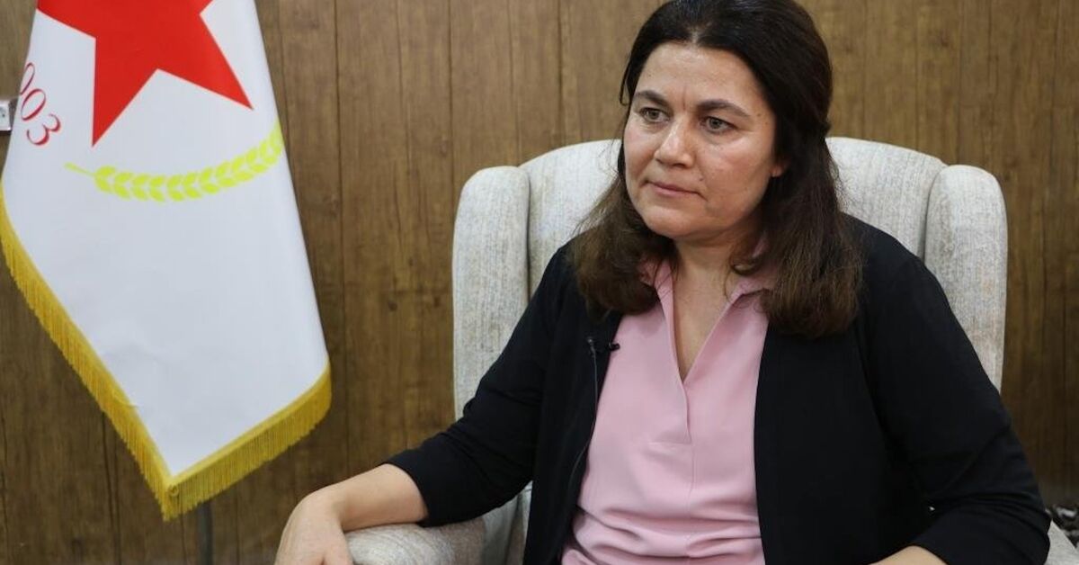 Top Syrian Kurdish official slams parliamentary vote in northeast as 'undemocratic'