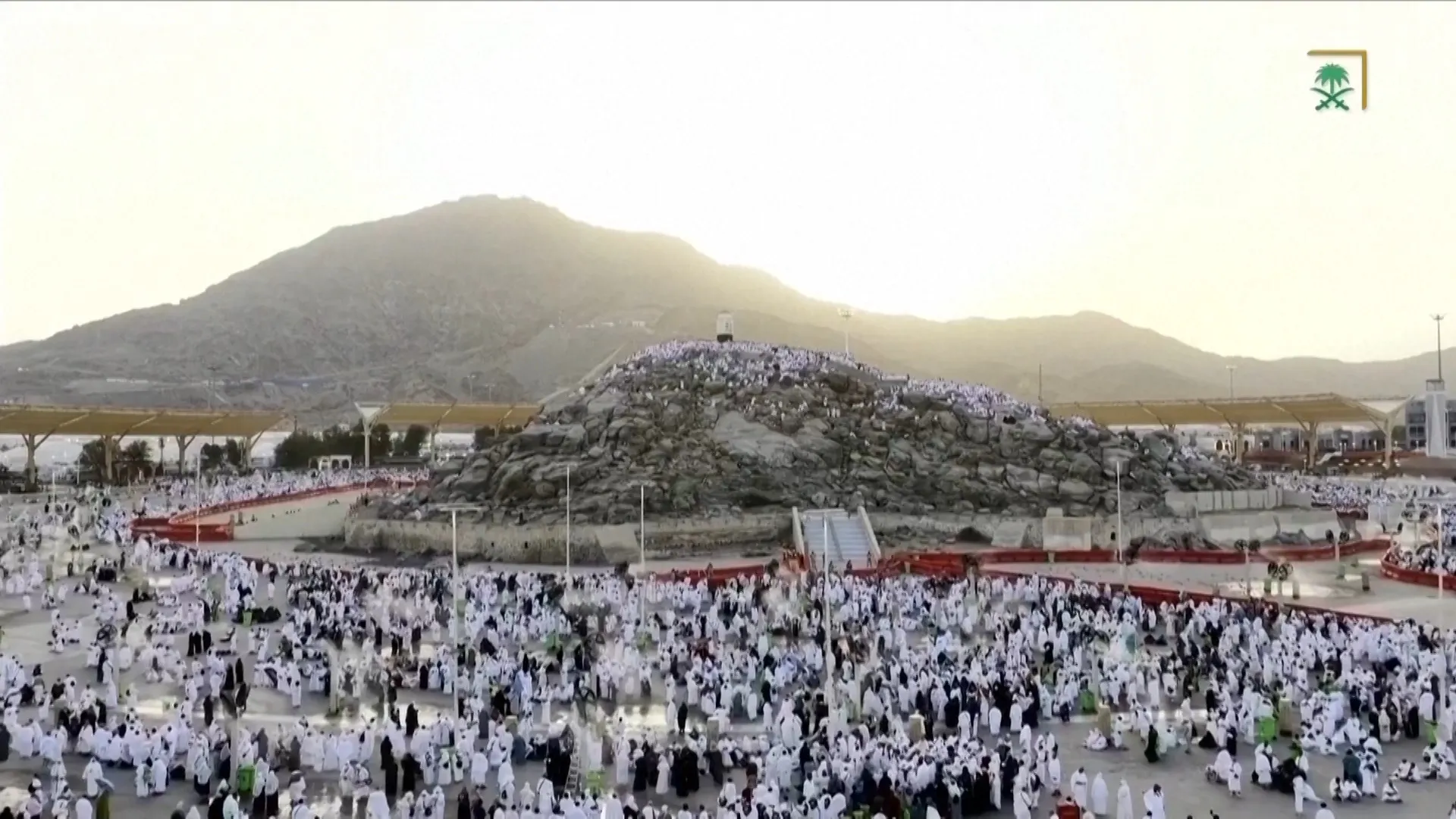 Muslims pray on Mount Arafat at high point of Hajj pilgrimage | Newsfeed