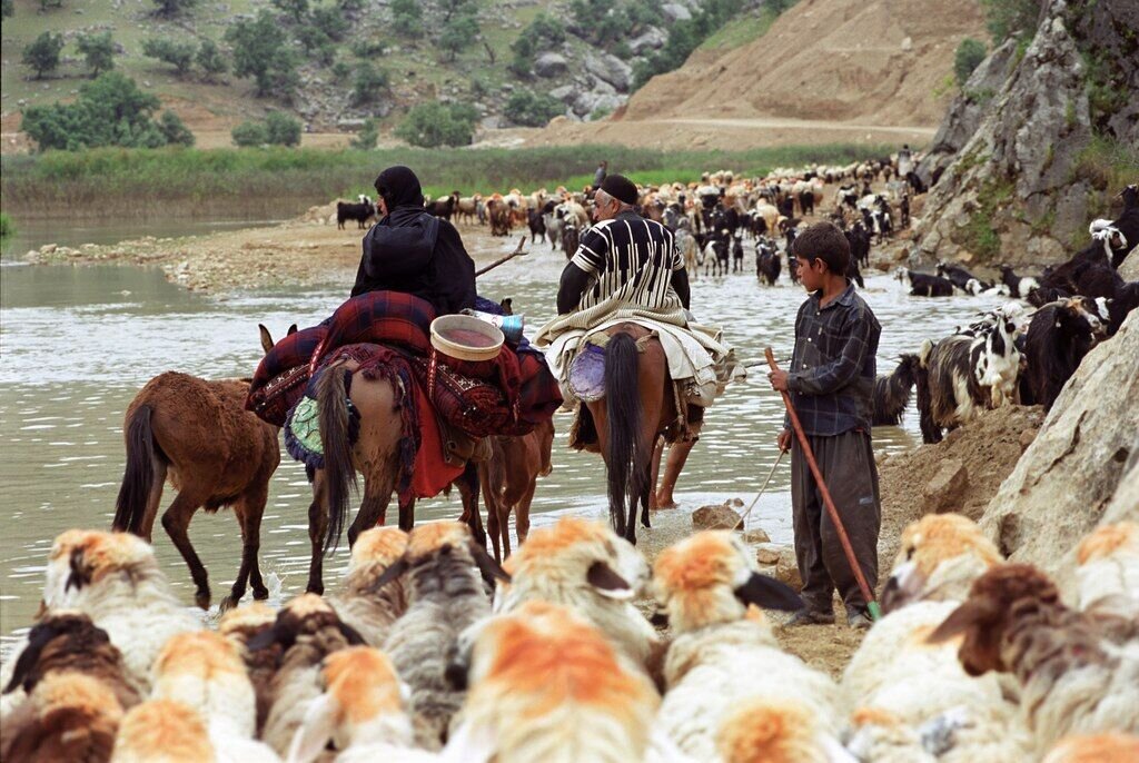 UNESCO designates Dalankuh–Qamishlou as Iran’s 14th biosphere reserve