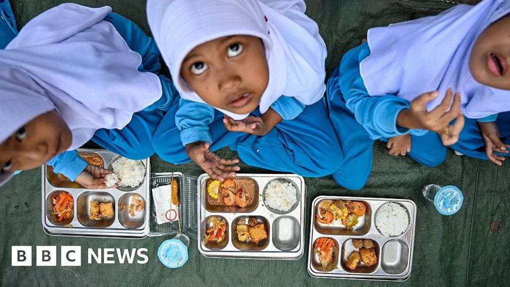 Indonesia's Prabowo fires head of free meals scheme plagued by poisonings