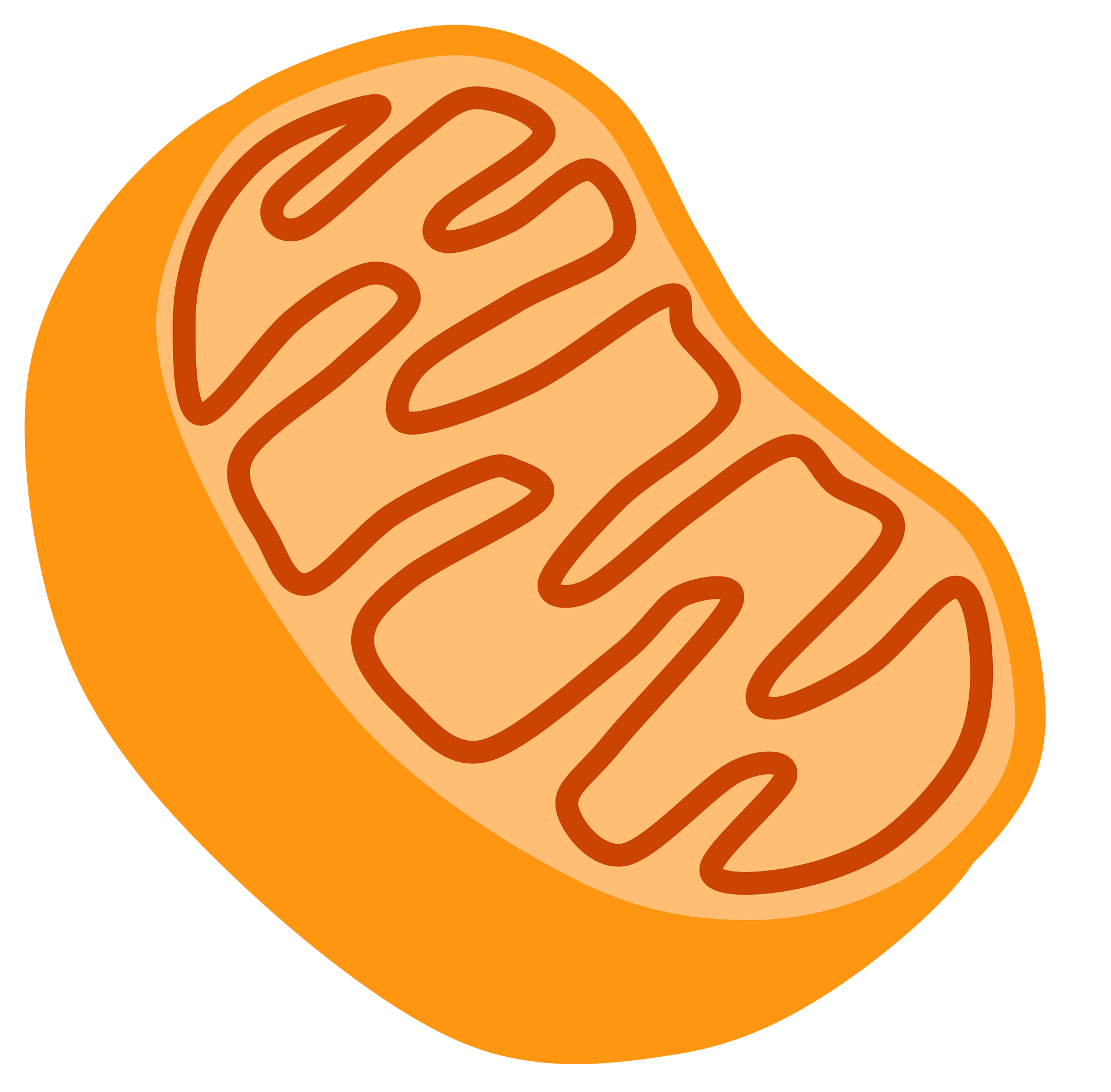 Mitochondria Regulates Immune Response | Immunology