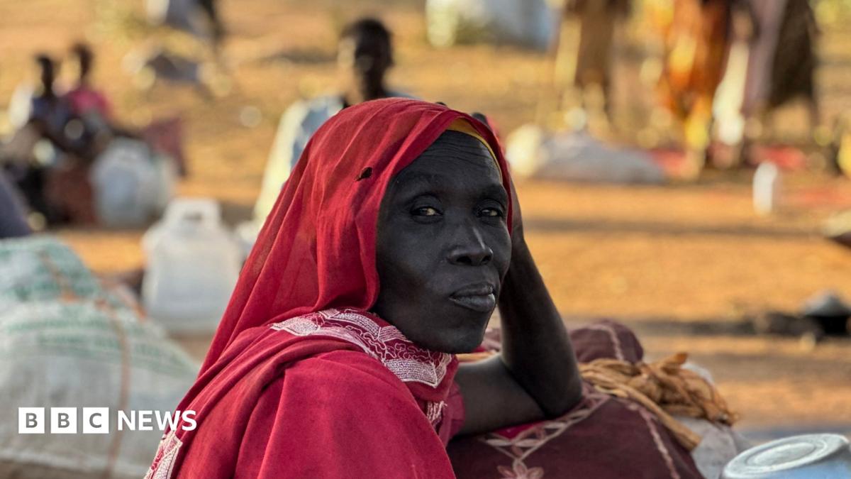 Sudan war: ICC tells BBC of breakthrough in war crimes investigation