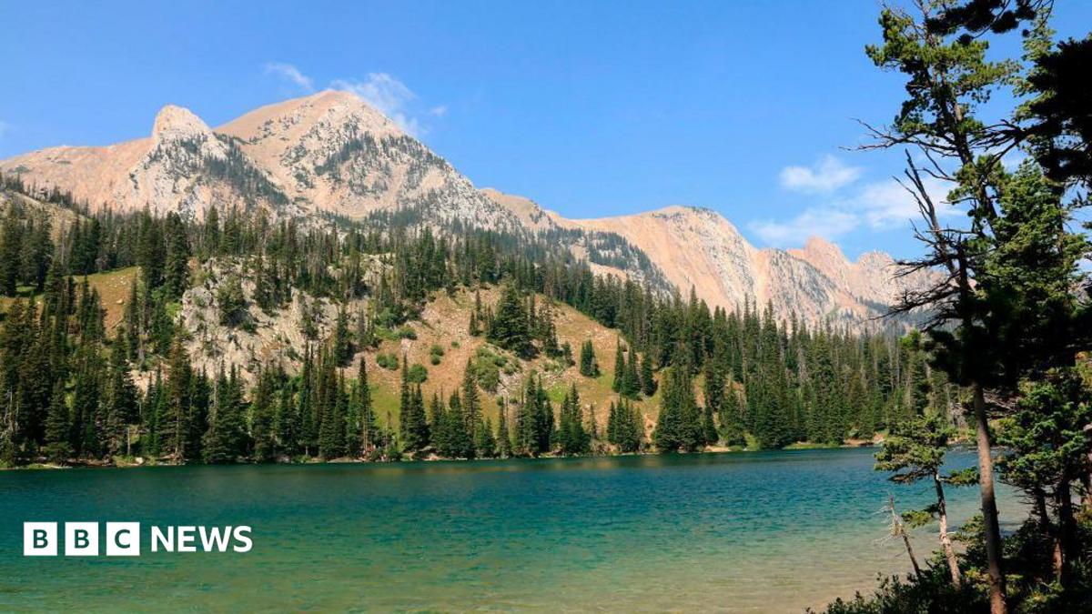 How the ‘Yellowstone effect’ transformed one rugged western American city