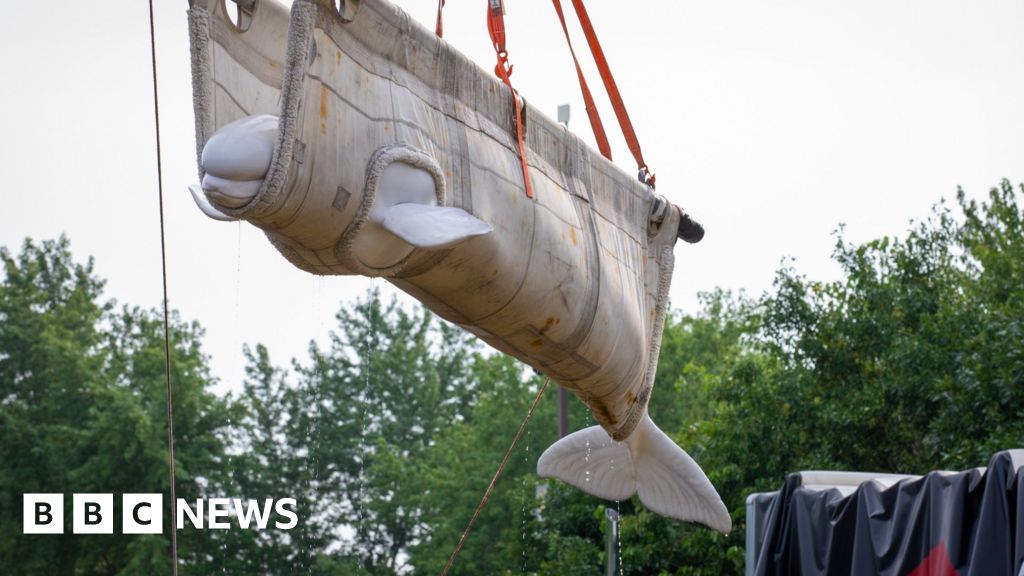 First beluga whales relocated from closed Marineland park arrive at new homes in the US