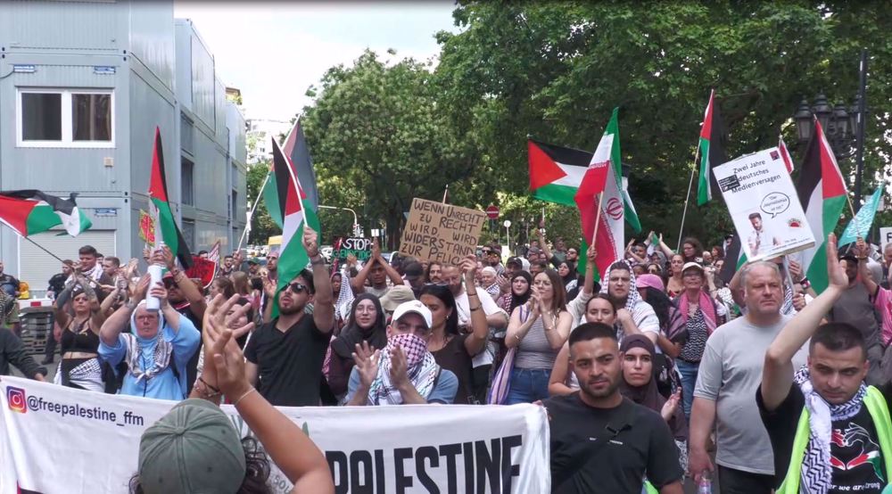 Pro-Palestine demonstration held In Frankfurt