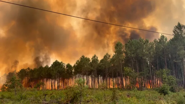 Bordeaux wildfire burns 3,100 hectares, 20,000 evacuated | Newsfeed